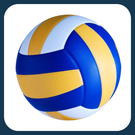 Volleyballs