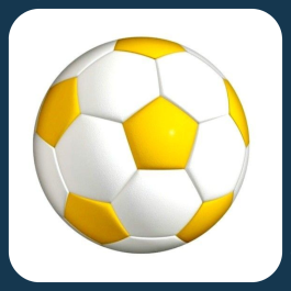 Soccer Balls