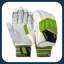 Cricket Batting Gloves