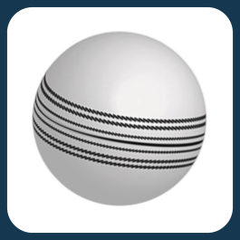 Cricket Balls